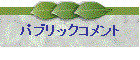 �p�u���b�N�R�����g