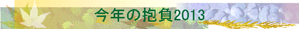 ���N�̕���2013