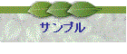 �T���v��